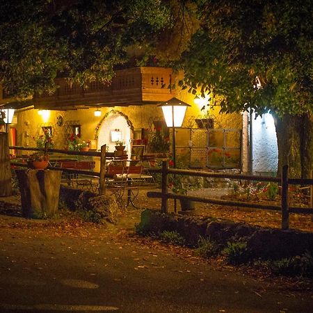 Gasthof Mitteregg Zum Kasnocknwirt Winkl  Экстерьер фото